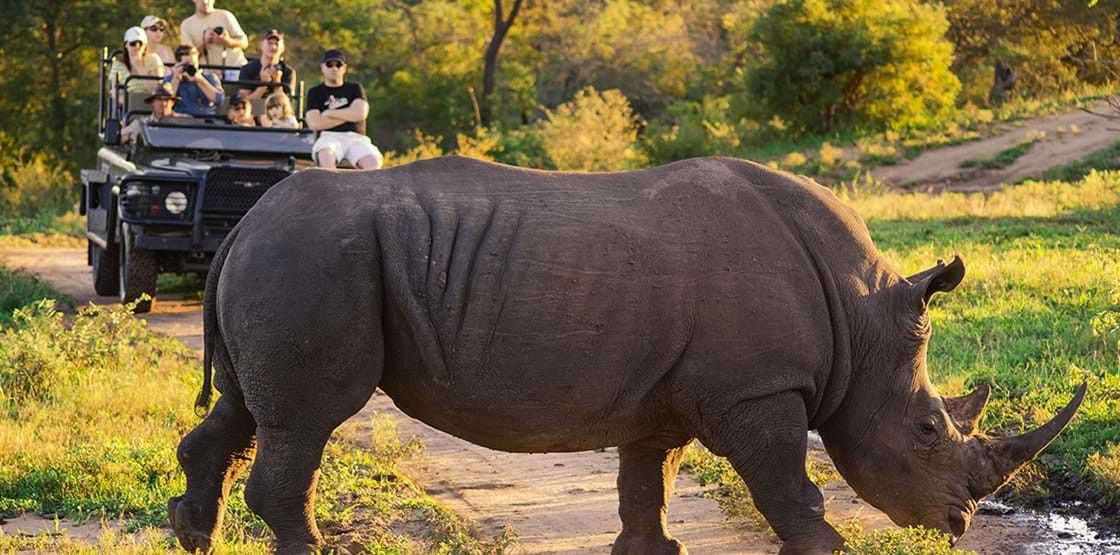 Conhecendo a África do Sul