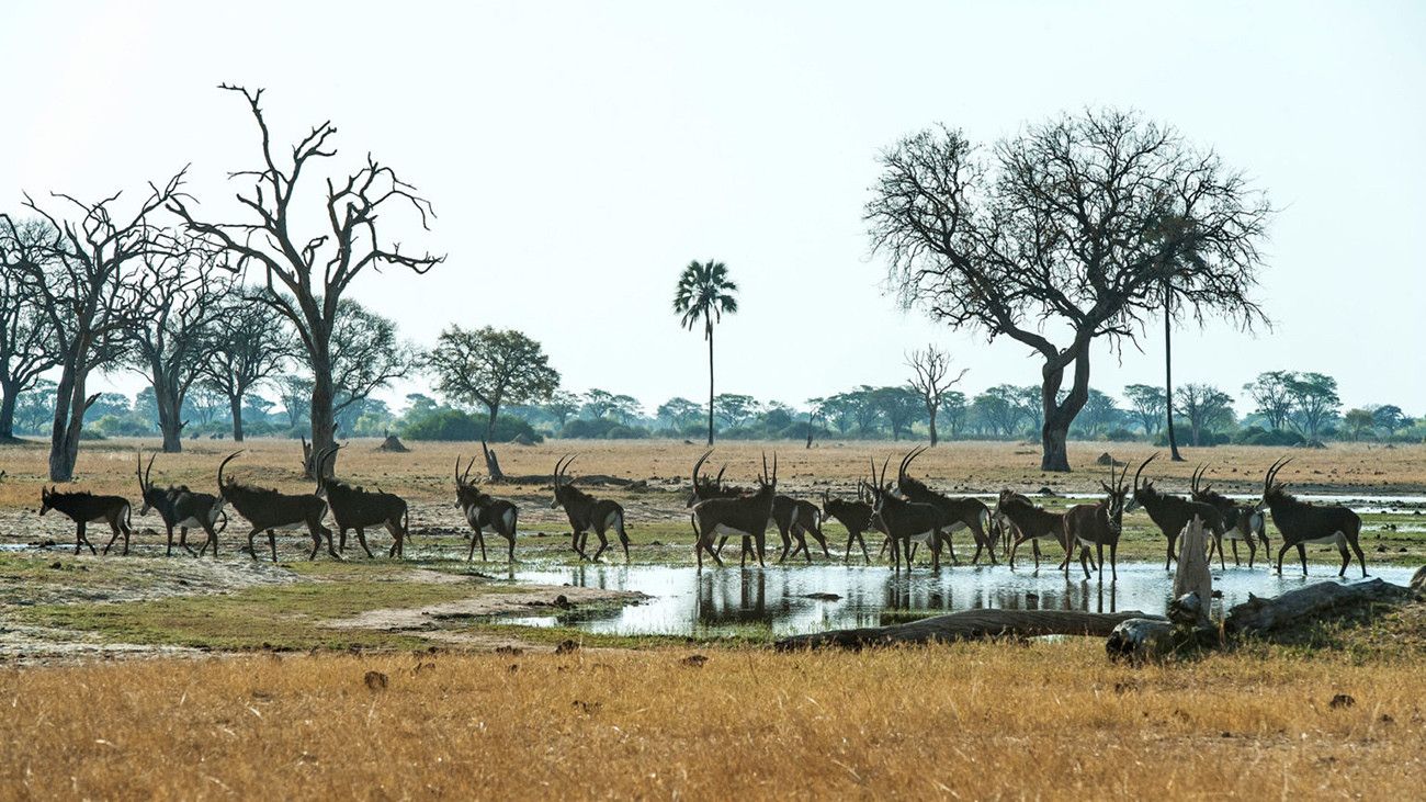 Pessoa em camelo no deserto