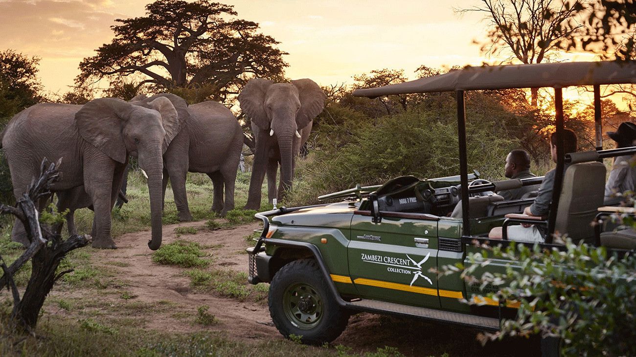 Pessoa em camelo no deserto
