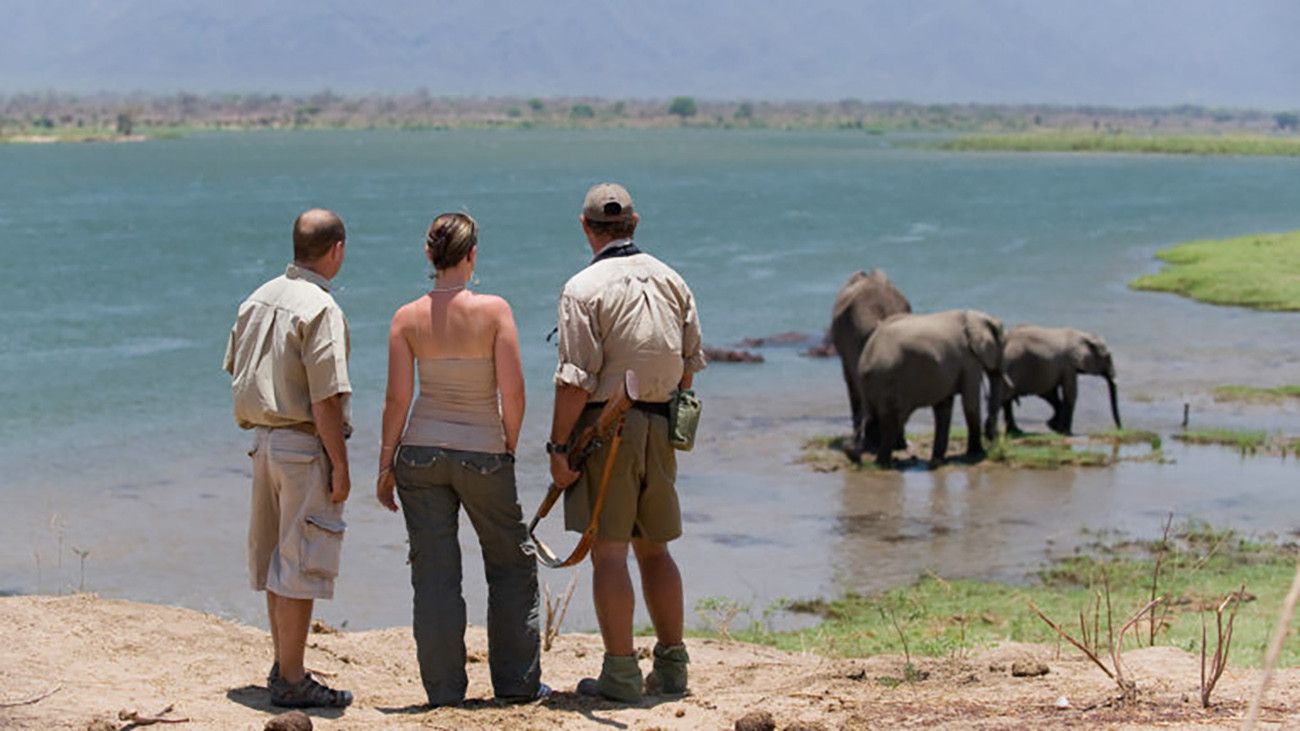O Melhor do Zimbabwe com Safáris e Cataratas