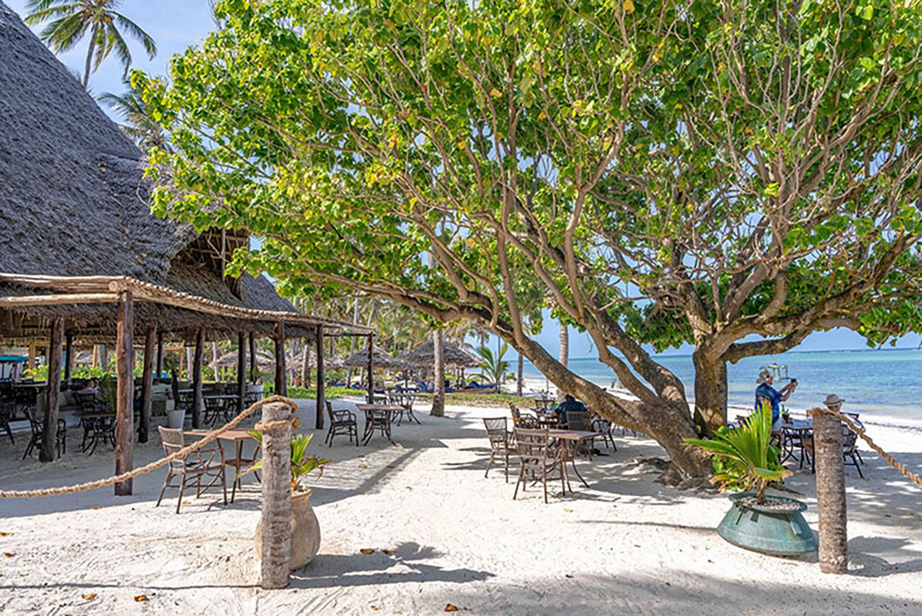 Pessoa em camelo no deserto