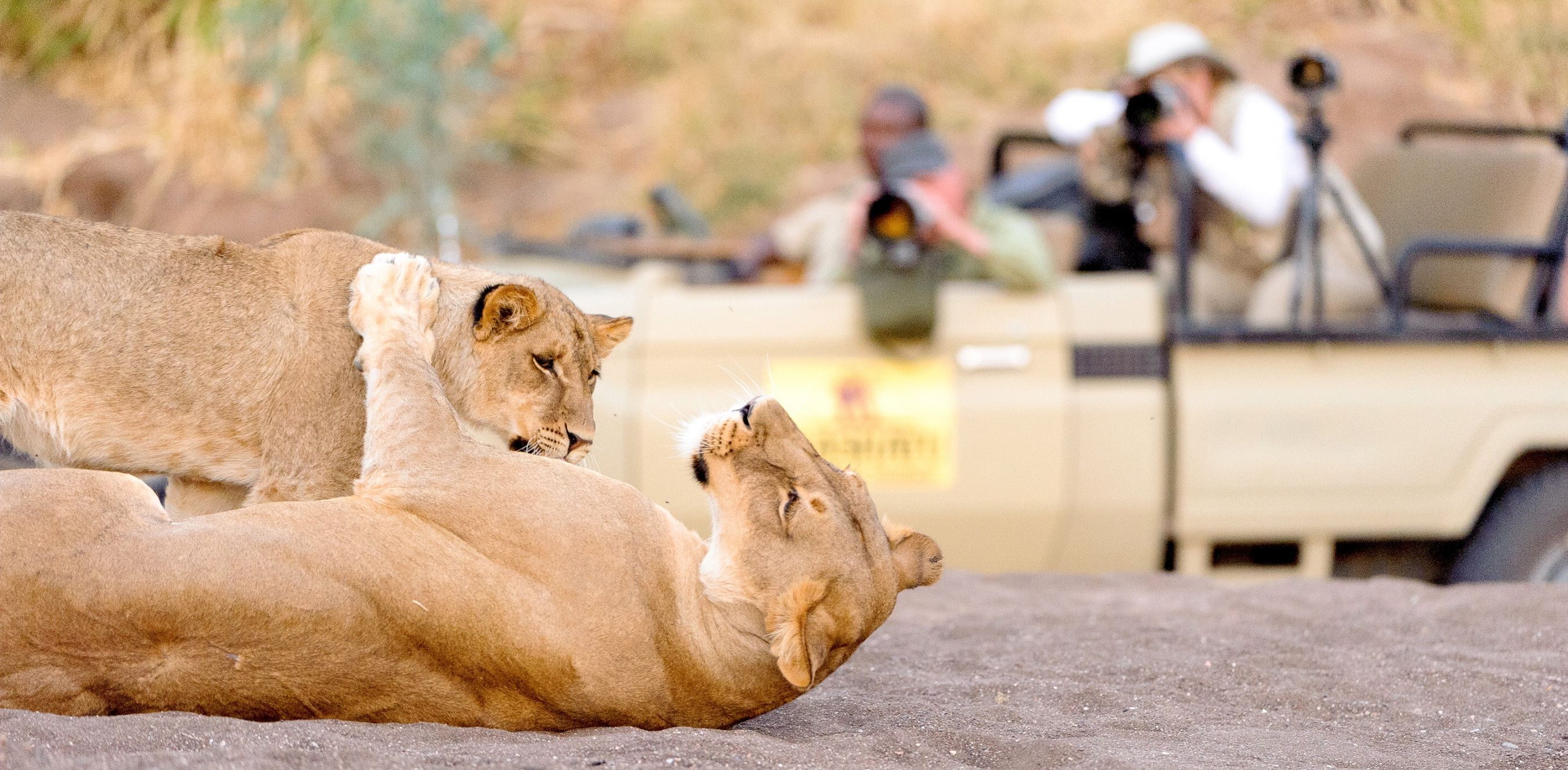 Sweet Taste of Botswana 
