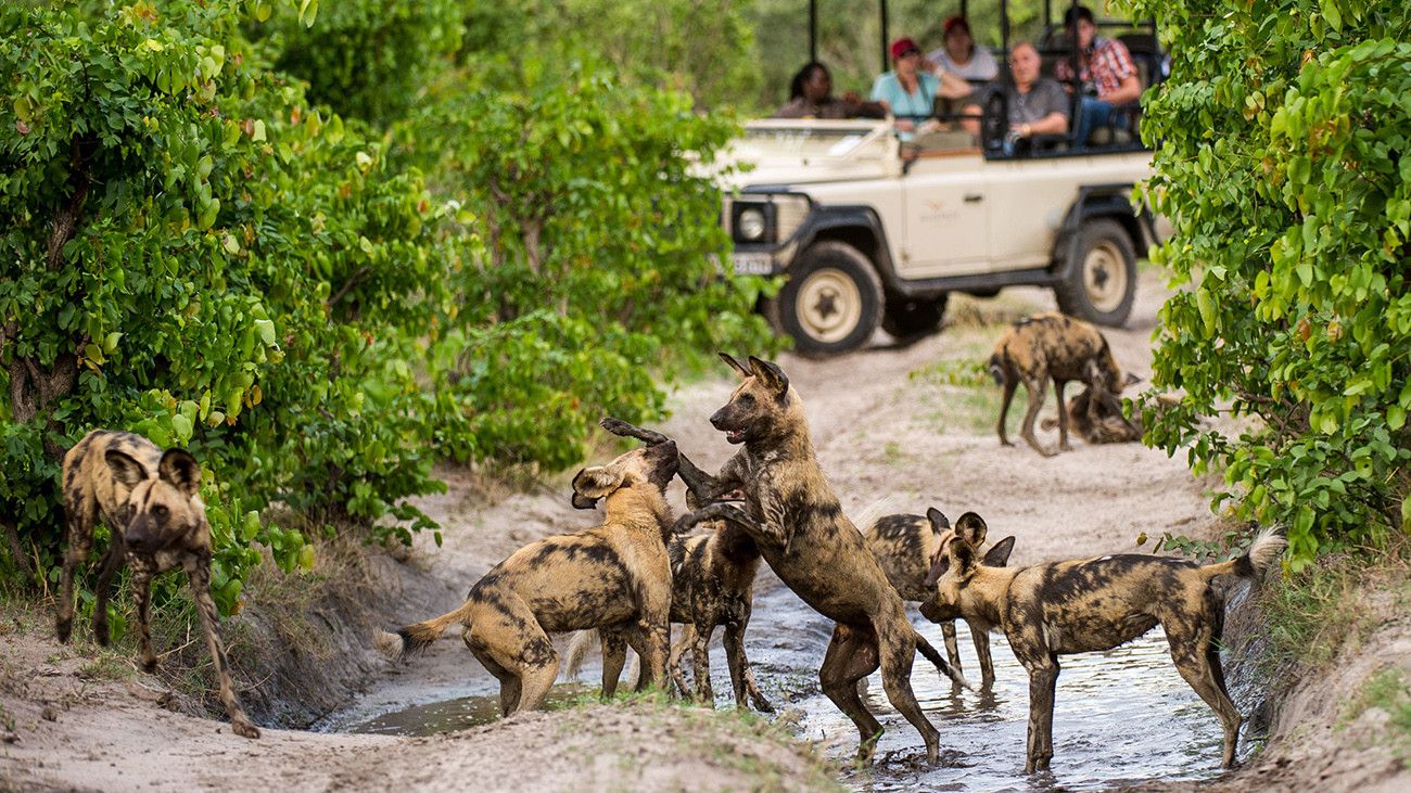 Pessoa em camelo no deserto