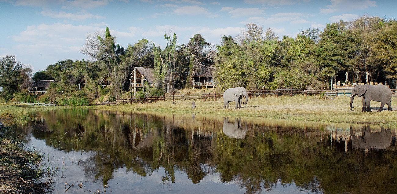 Pessoa em camelo no deserto