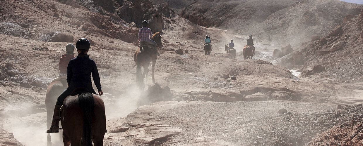 Pessoa em camelo no deserto