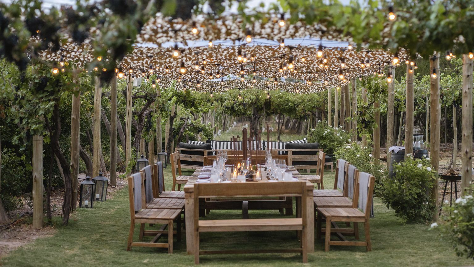 Pessoa em camelo no deserto